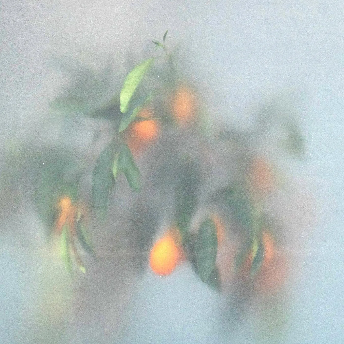 U-Ziq & Mrs Jynx SECRET GARDEN CD