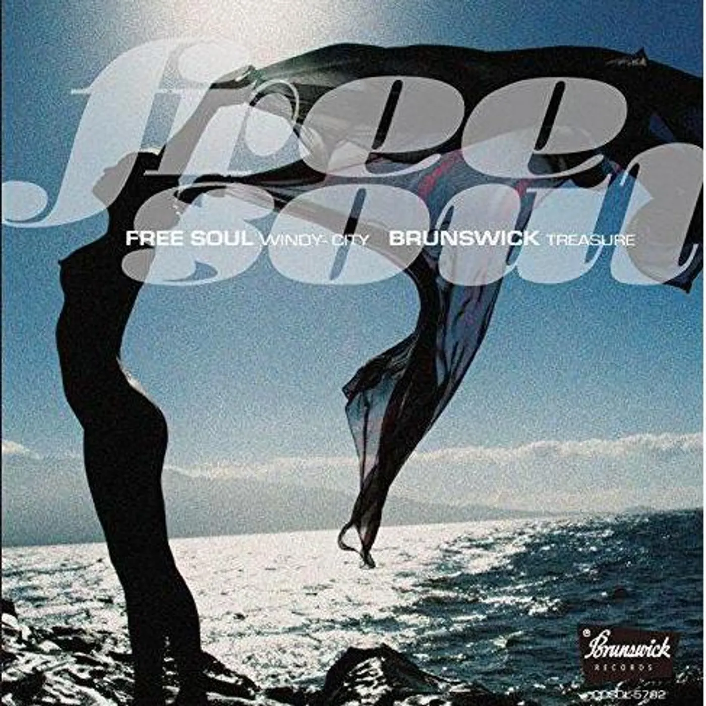 FREE SOUL WINDY CITY: BRANSWICK TREASURE / VARIOUS CD