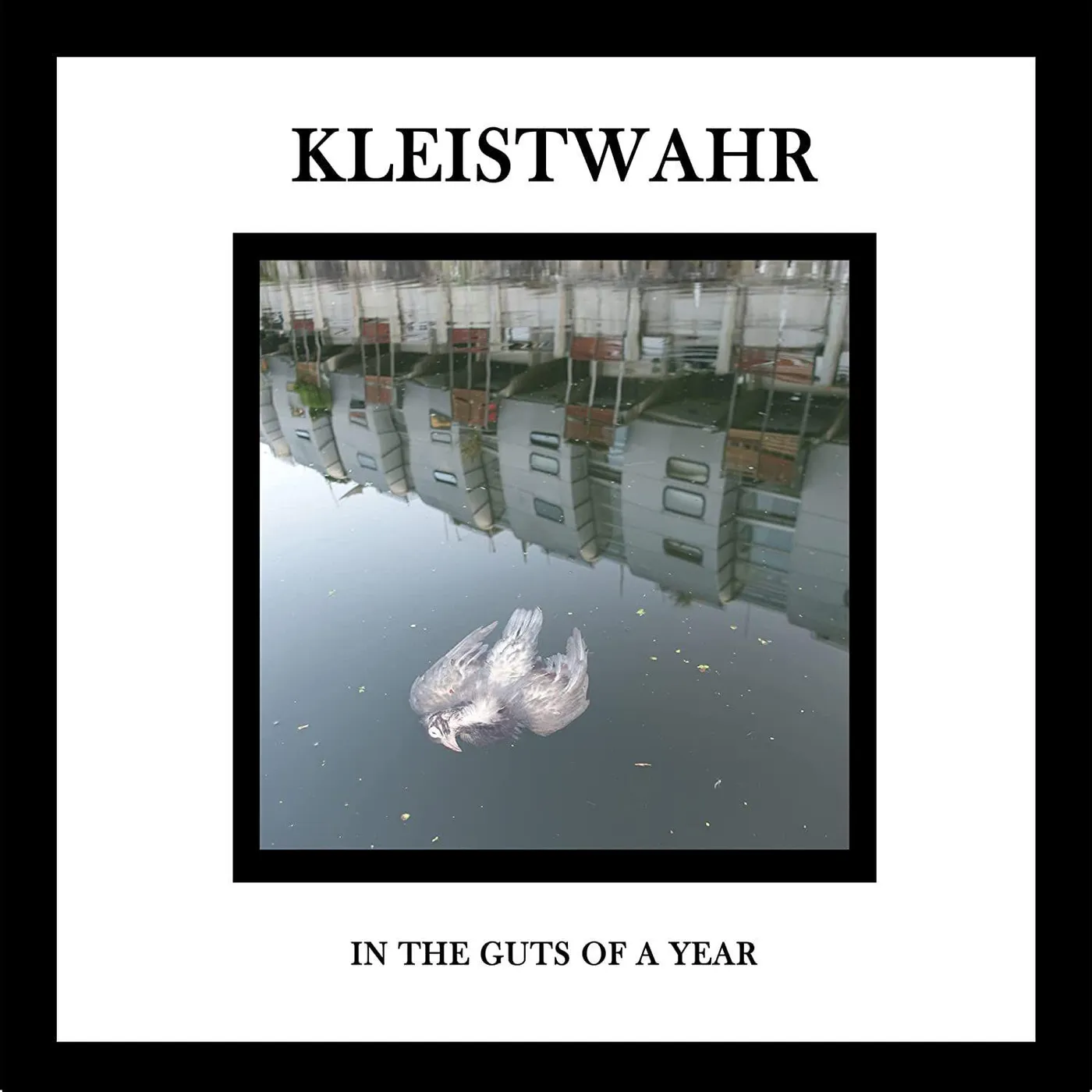 Kleistwahr IN THE GUTS OF A YEAR CD