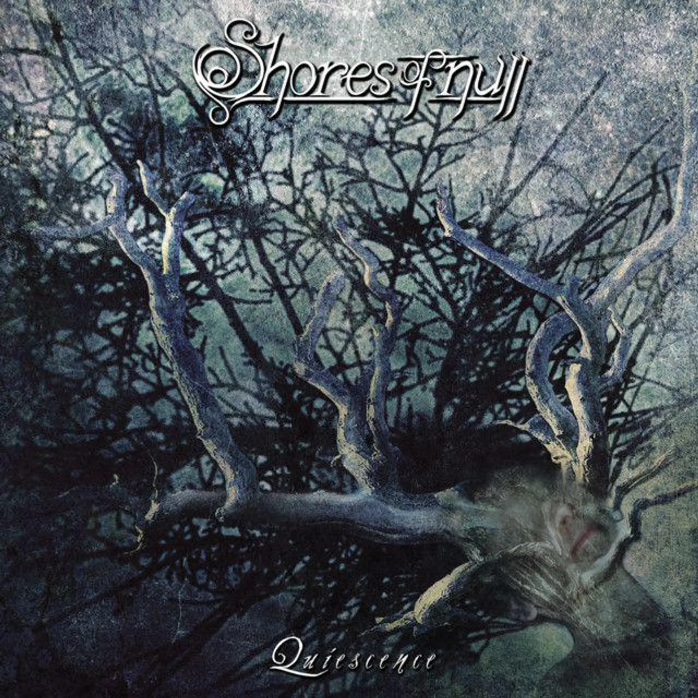 Shores Of Null Quiescence Vinyl Record