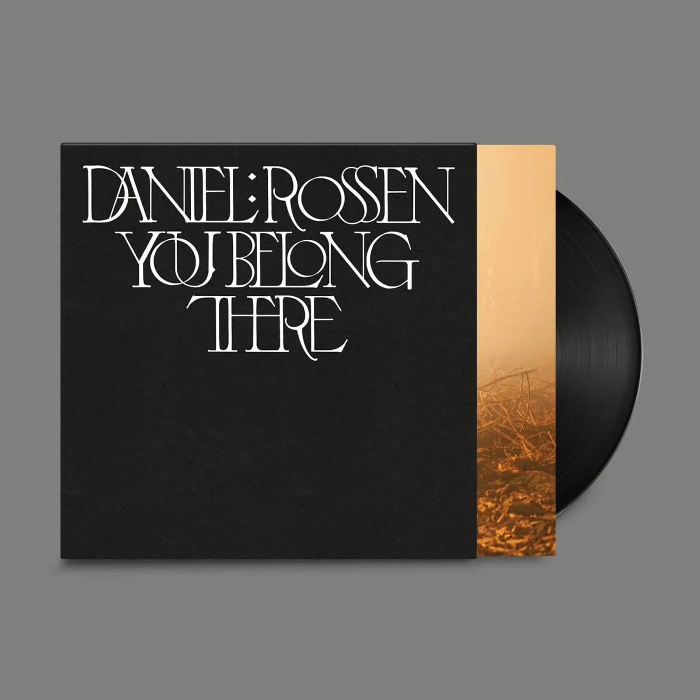 Daniel Rossen You Belong There Vinyl Record