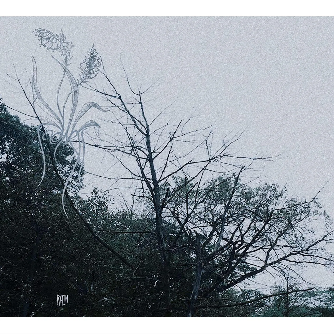 Sadness Rain Vinyl Record