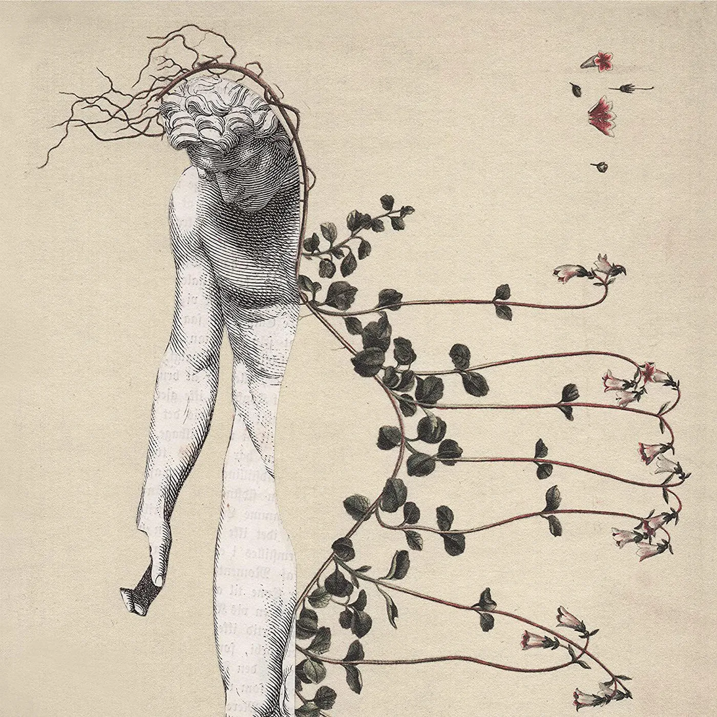 øjeRum STIGMA CD
