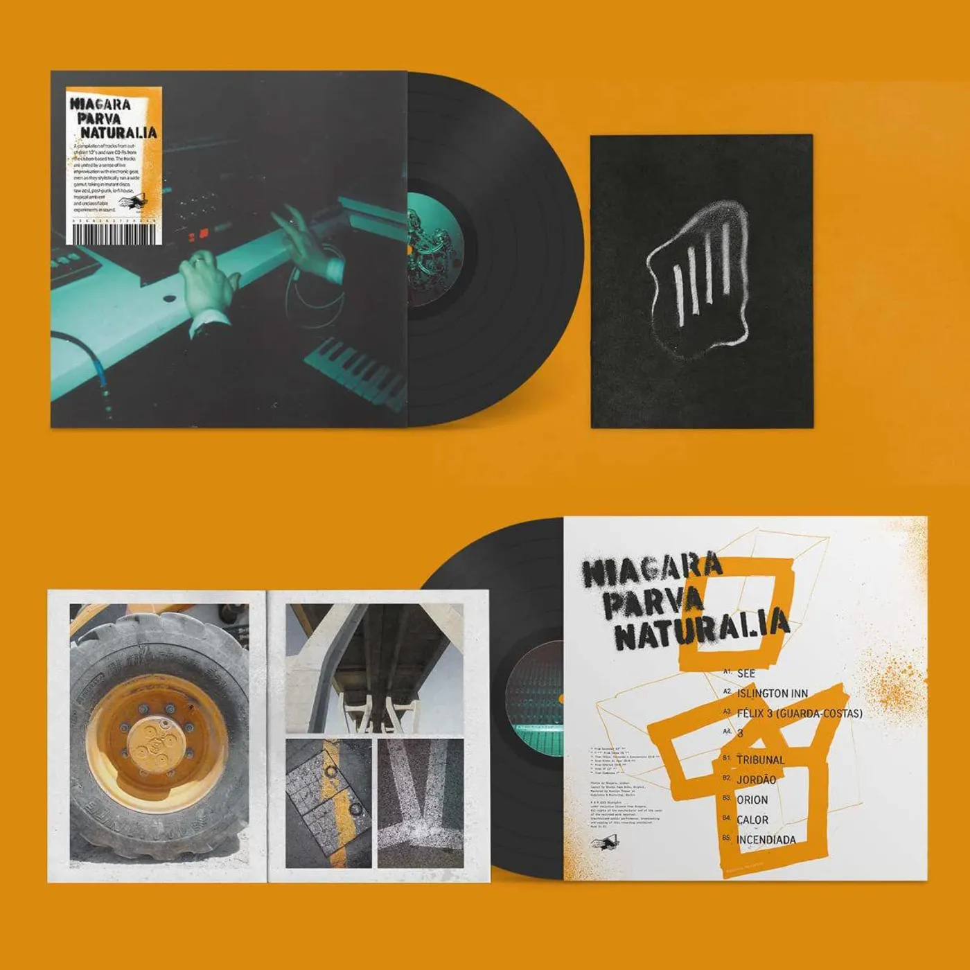 Broadcast Mother Is The Milky Way Vinyl Record