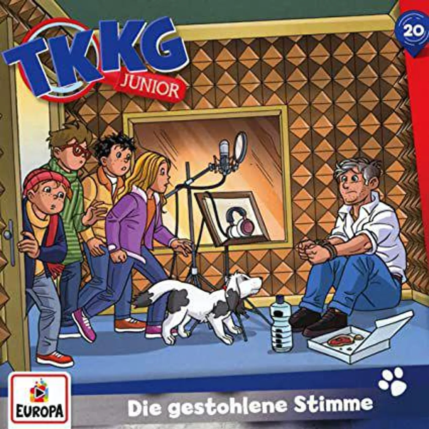 TKKG Junior FOLGE 20: DIE GESTOHLENE STIMME CD