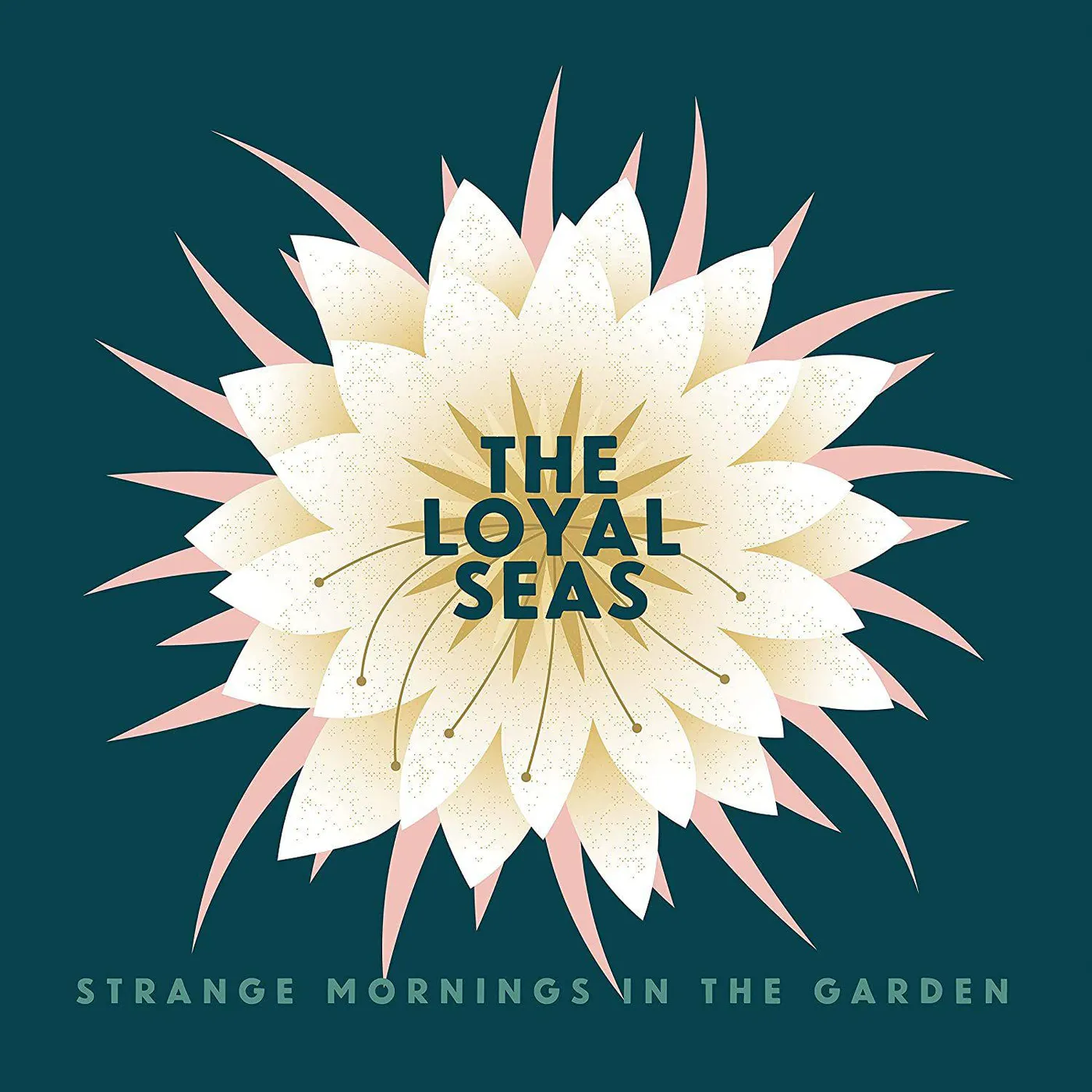 The Loyal Seas STRANGE MORNINGS IN THE GARDEN (PINK ROSE) Vinyl Record