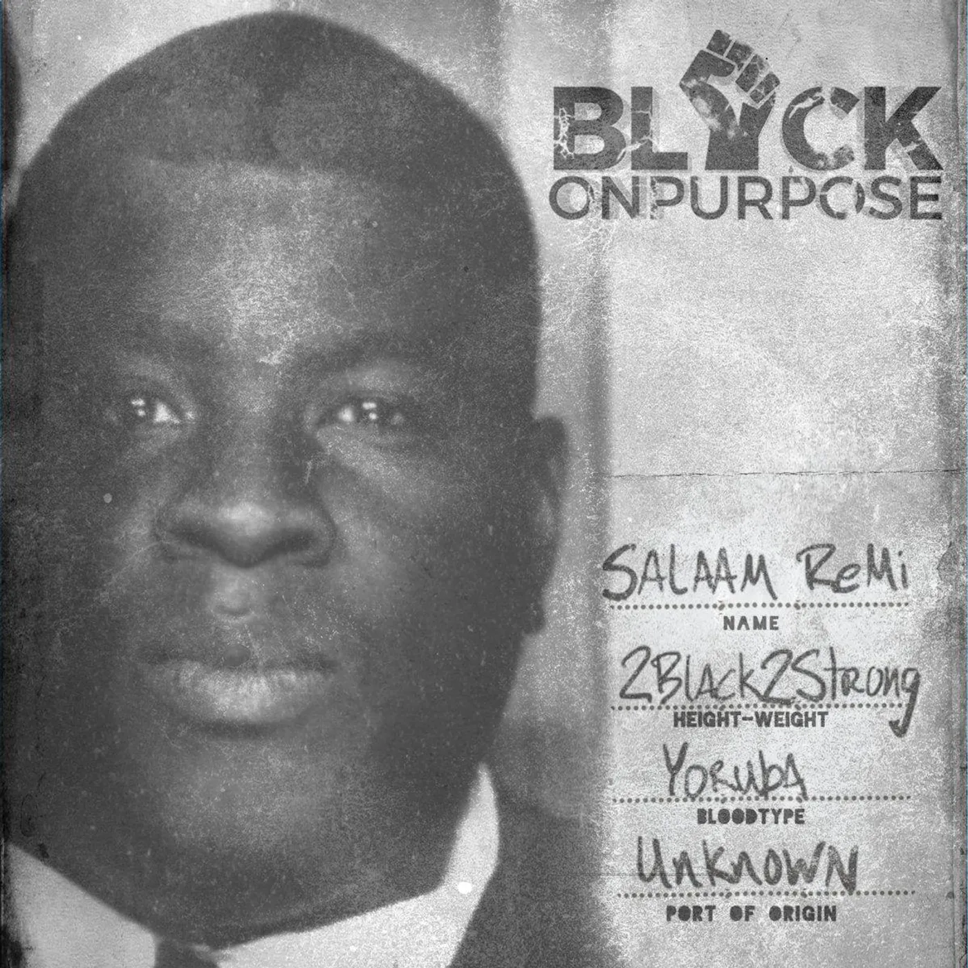 Salaam Remi BLACK ON PURPOSE Vinyl Record