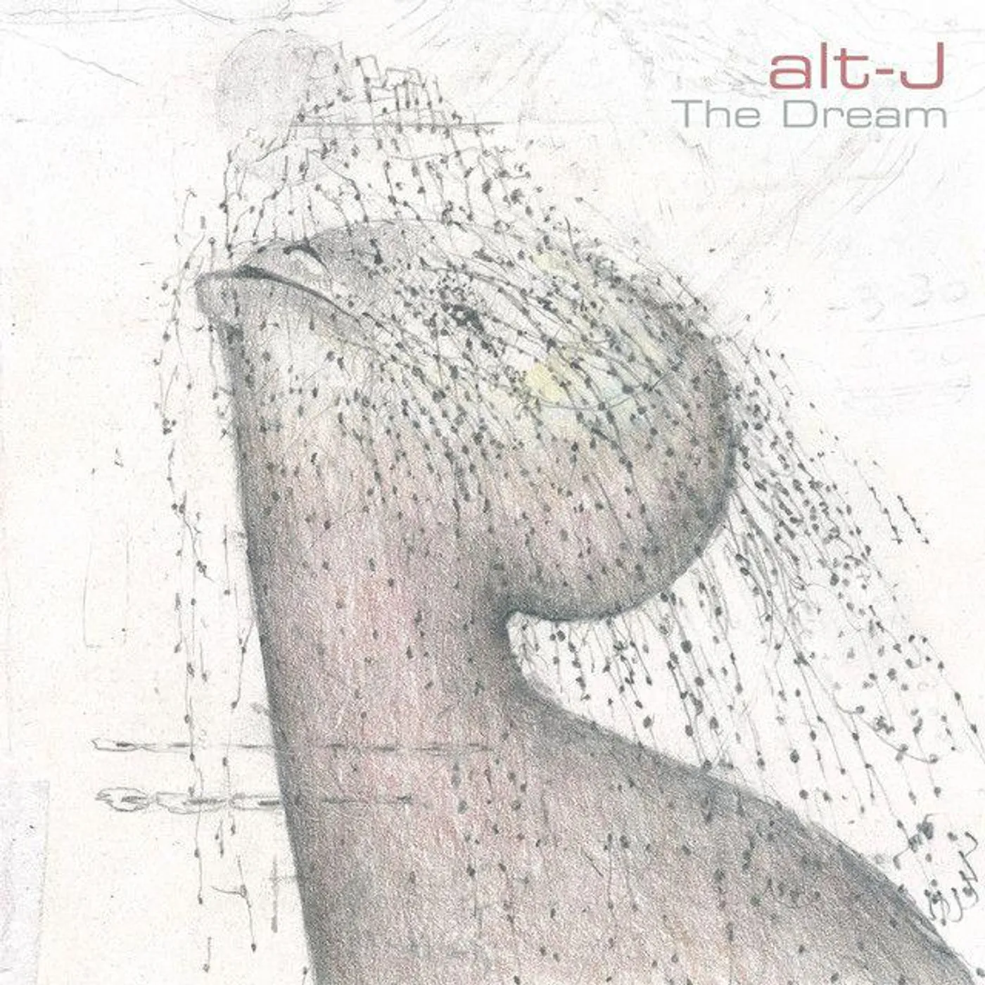 alt-J Dream Vinyl Record