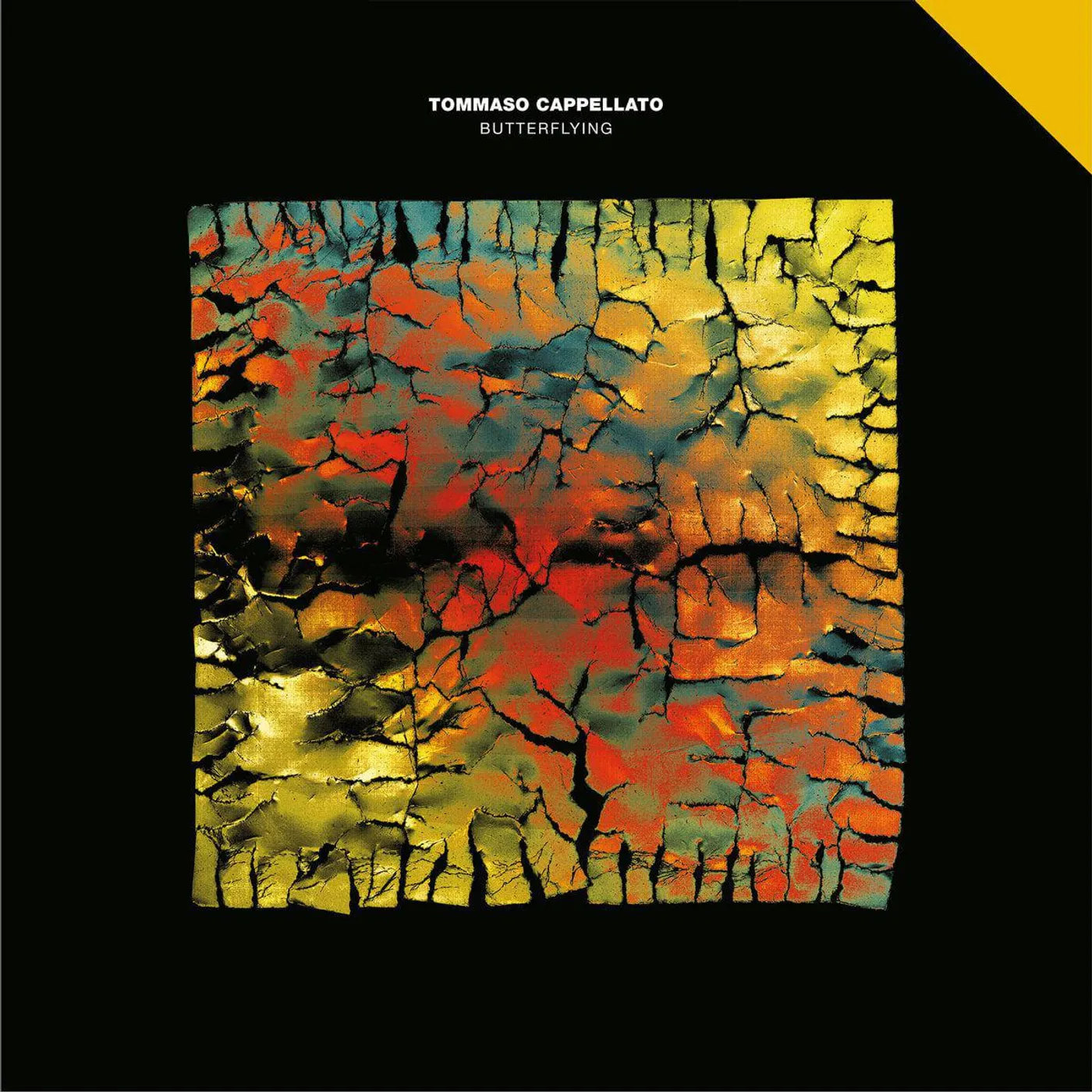 Tommaso Cappellato BUTTERFLYING Vinyl Record