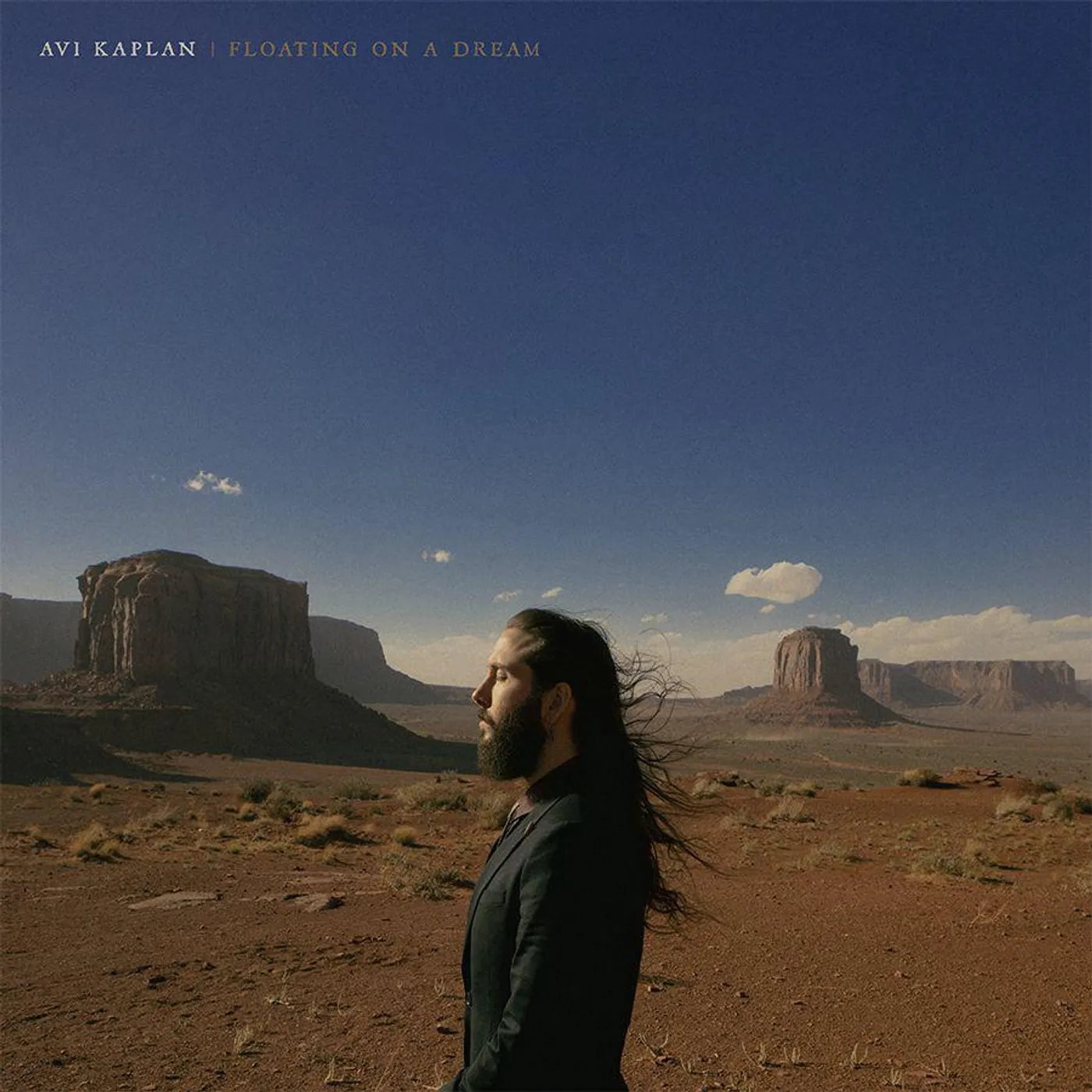 Avi Kaplan Floating On A Dream Vinyl Record