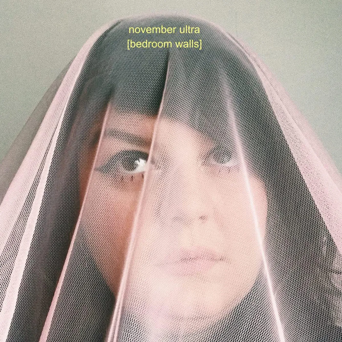 November Ultra Bedroom Walls Vinyl Record