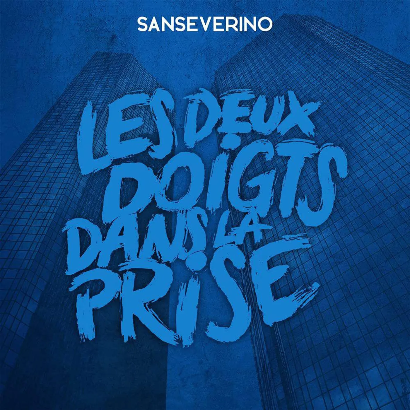Sanseverino LES DEUX DOIGTS DANS LA PRISE Vinyl Record