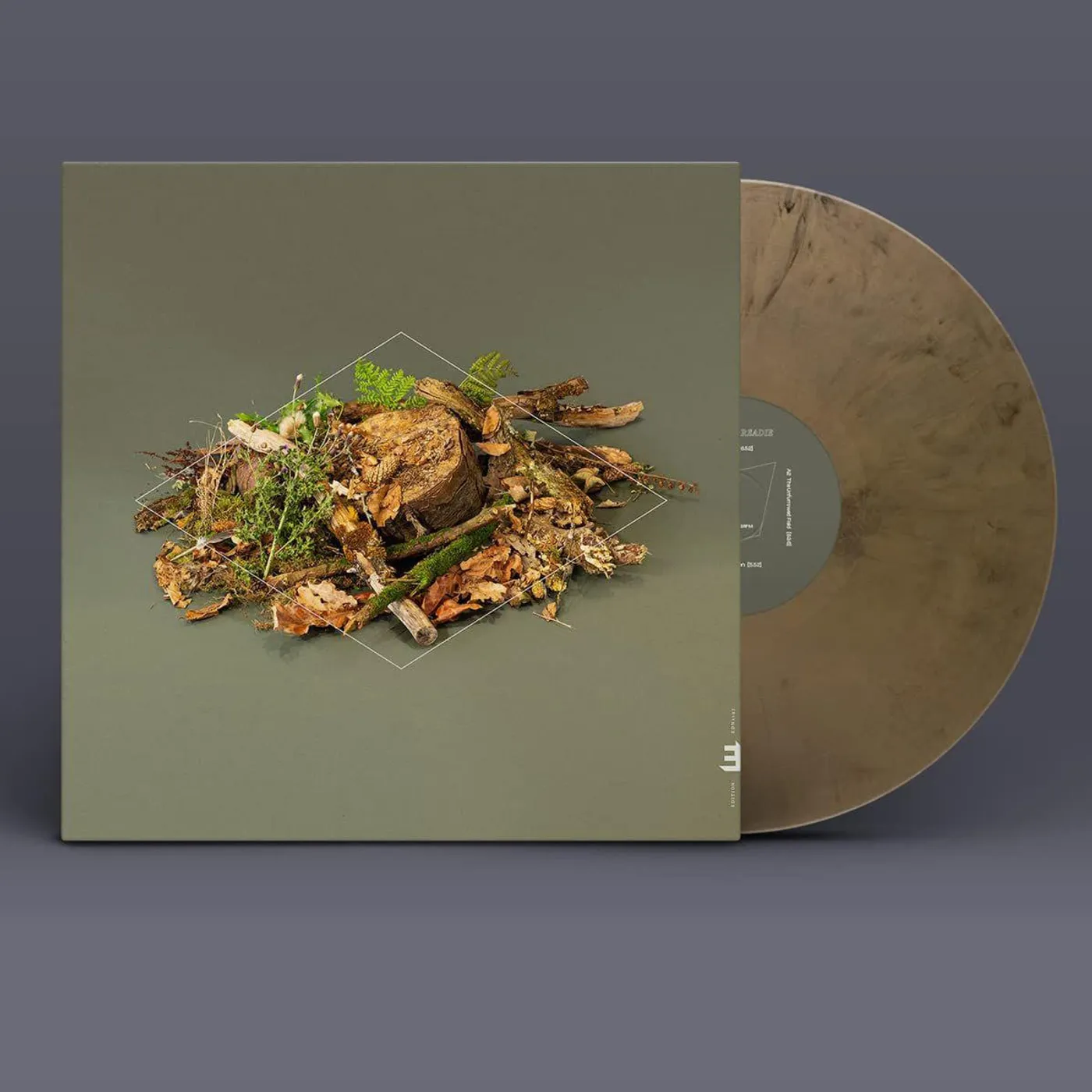 Fergus McCreadie Forest Floor Vinyl Record