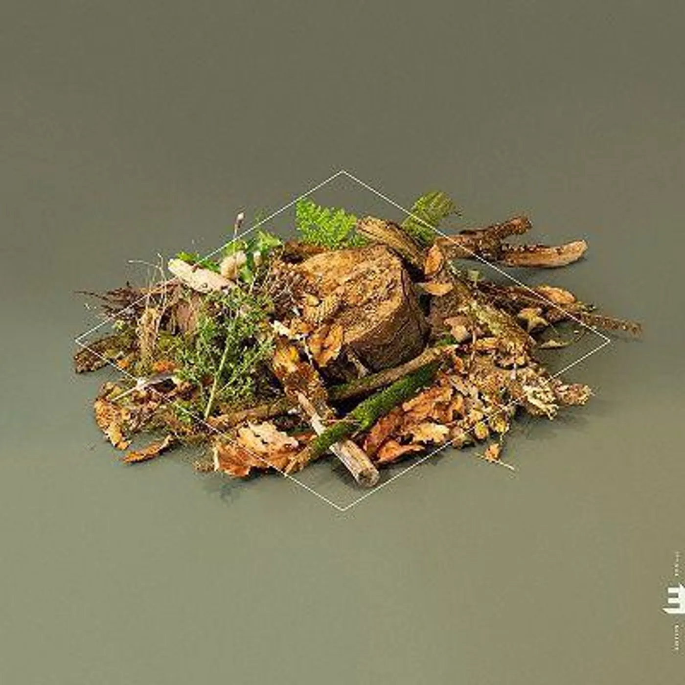Fergus McCreadie Forest Floor Vinyl Record