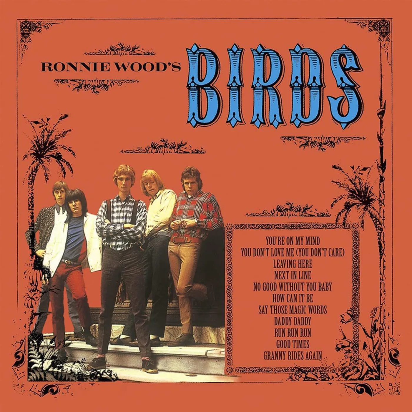 Ronnie Wood's Birds Vinyl Record