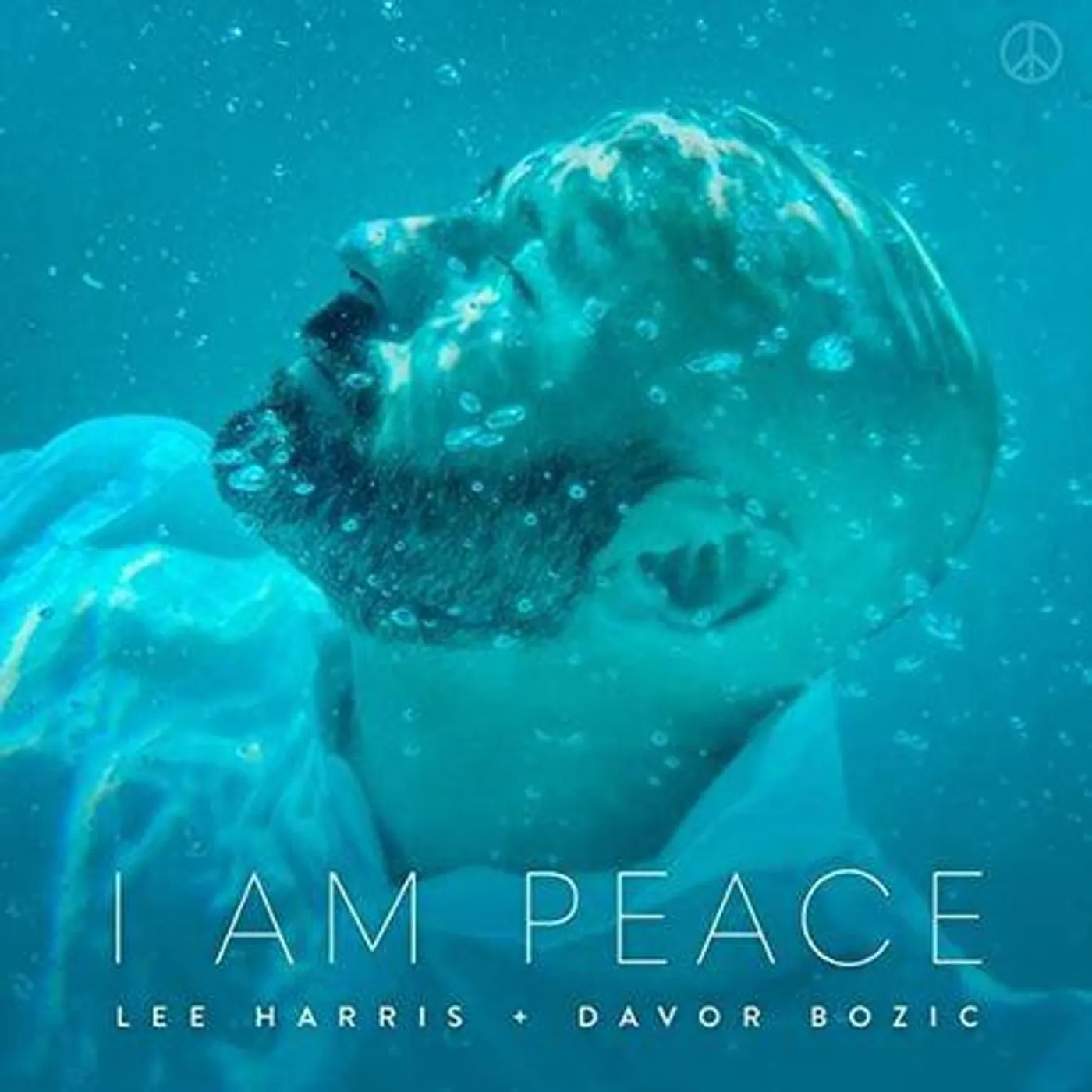 Lee Harris I Am Peace Vinyl Record