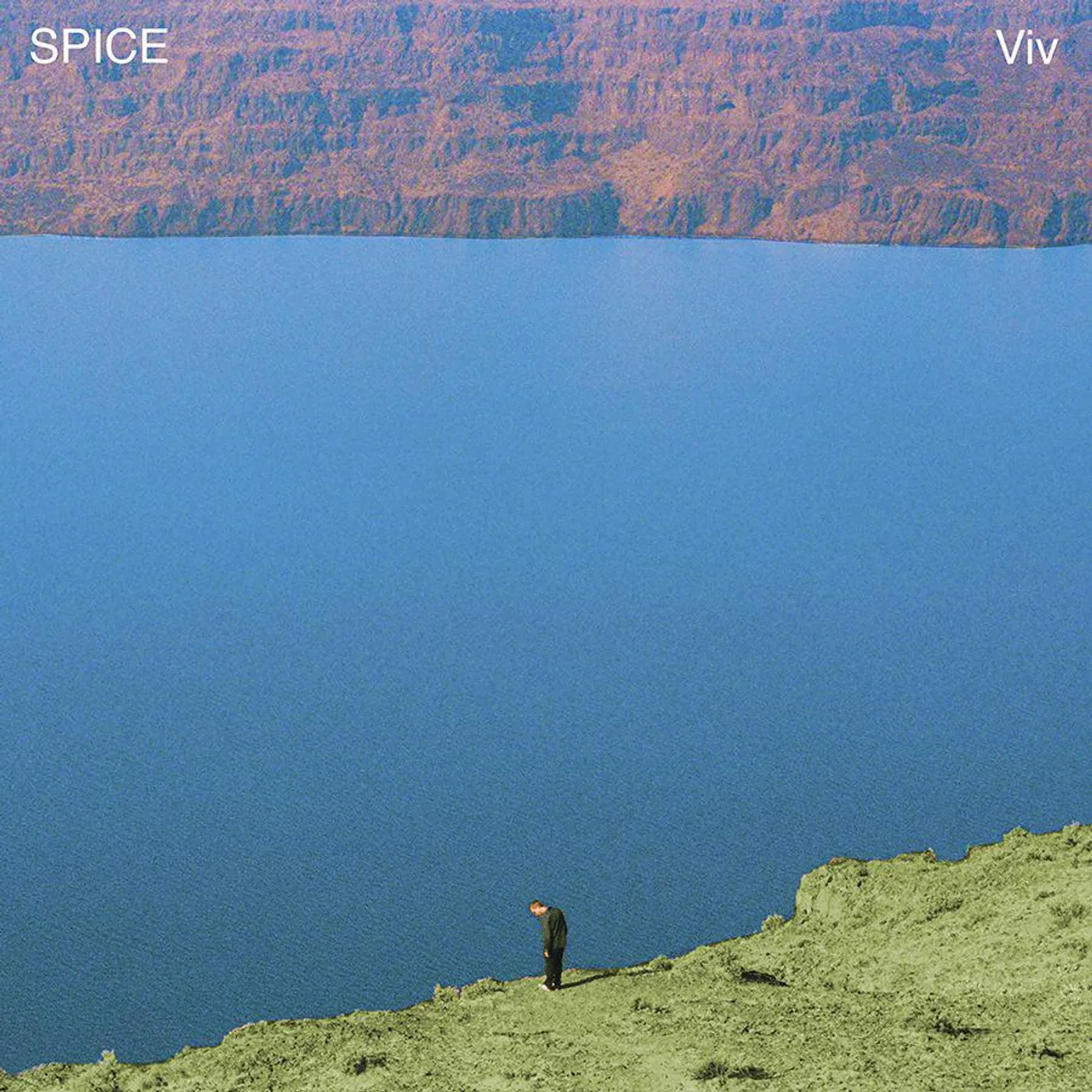 SPICE Viv Vinyl Record