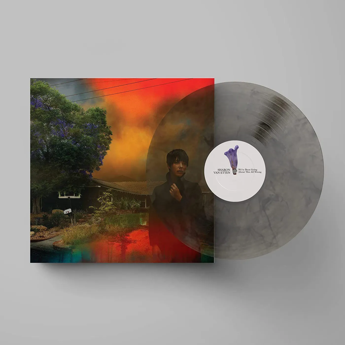 Sharon Van Etten We've Been Going About This All Wrong (Smoke) Vinyl Record