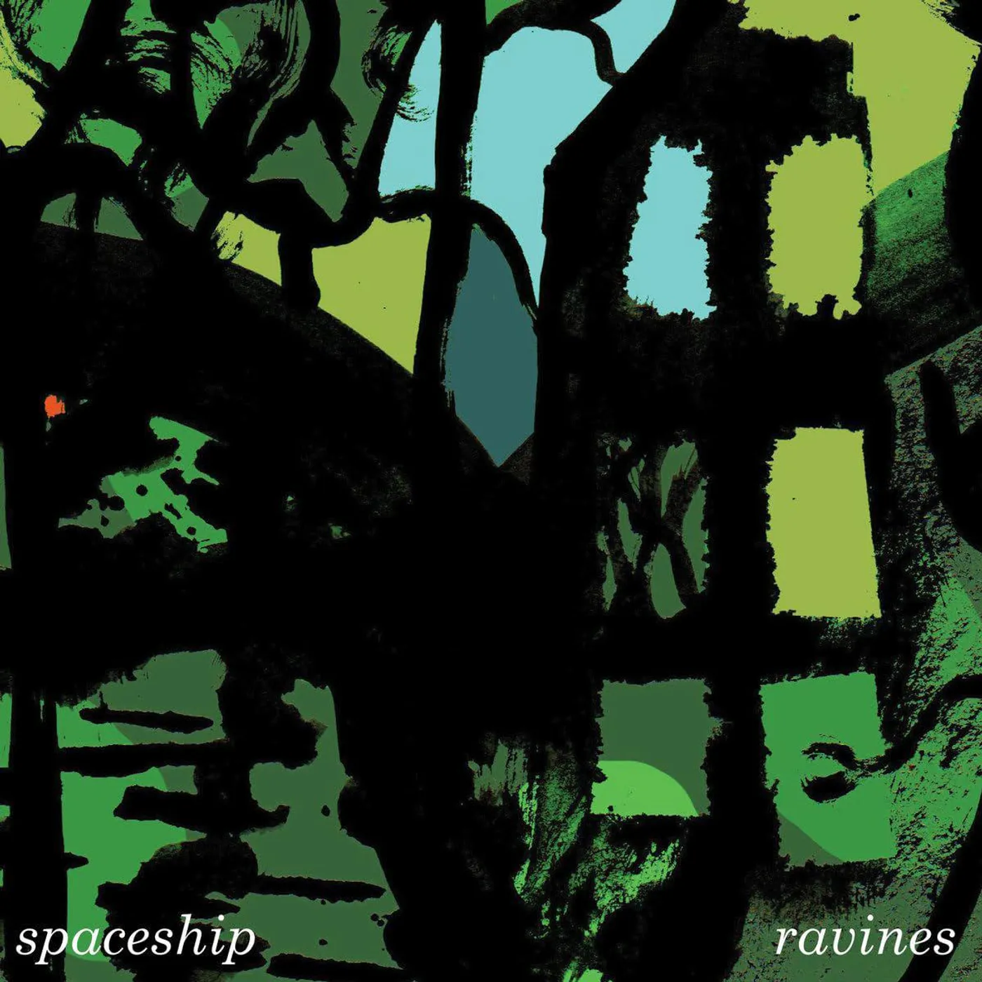 spaceship Ravines Vinyl Record