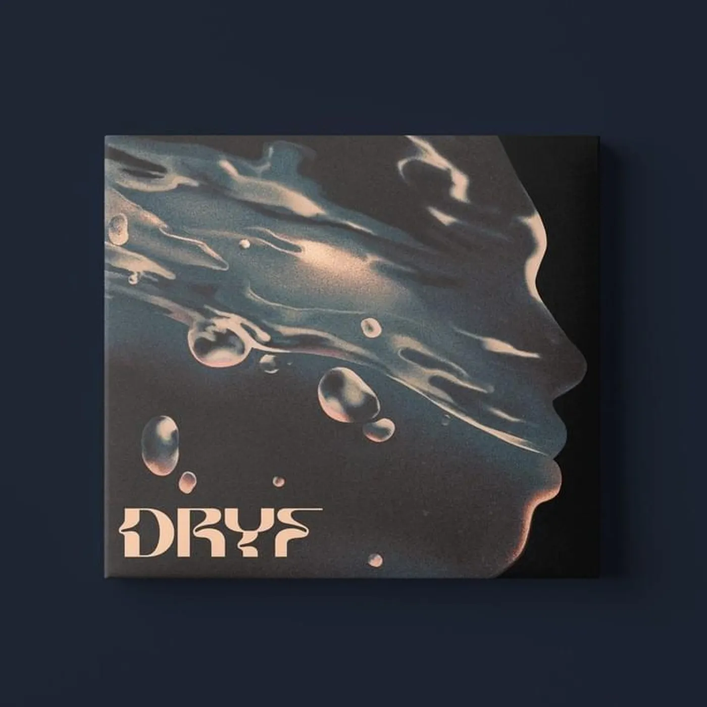 VAE VISTIC DRYF CD