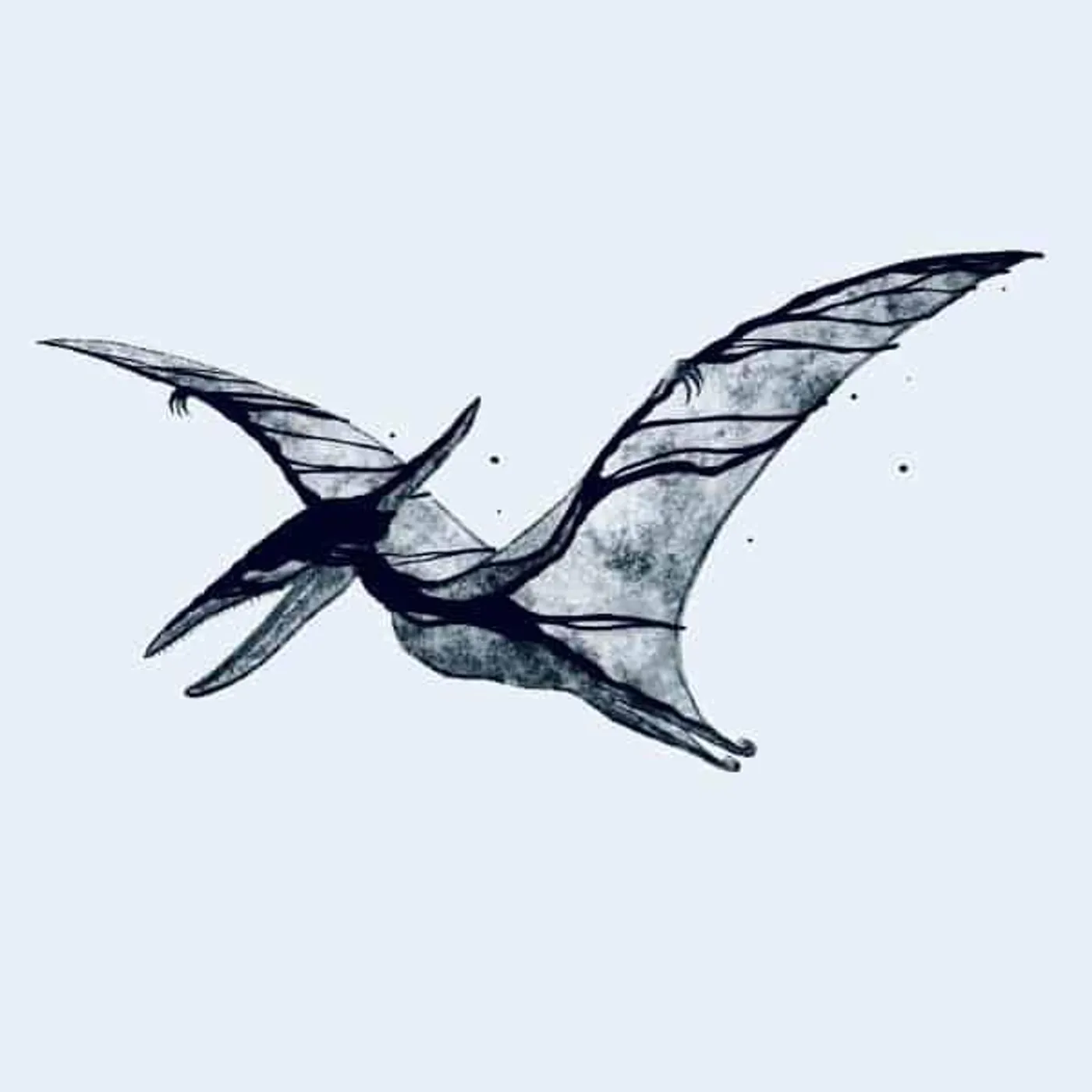 ME REX Pterodactyl / Plesiosaur vinyl record
