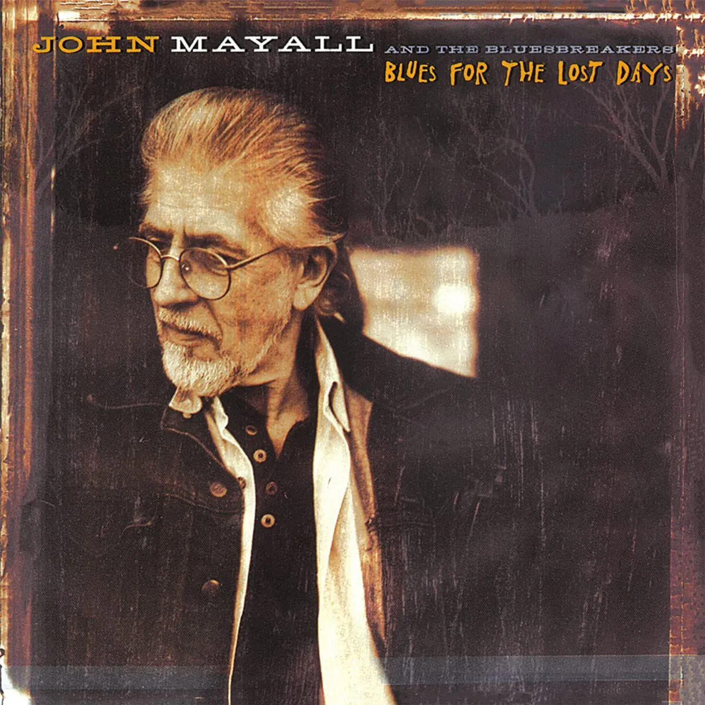 John Mayall & The Bluesbreakers 19224 Blues For The Lost Days Vinyl Record