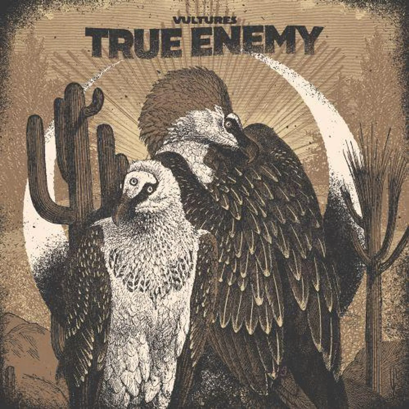 True Enemy Vultures Vinyl Record