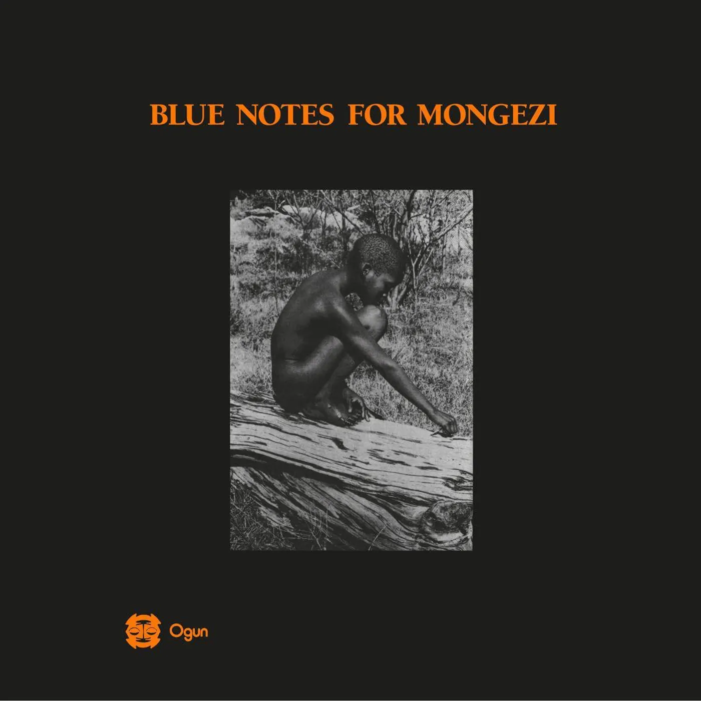 The Blue Notes For Mongezi Vinyl Record