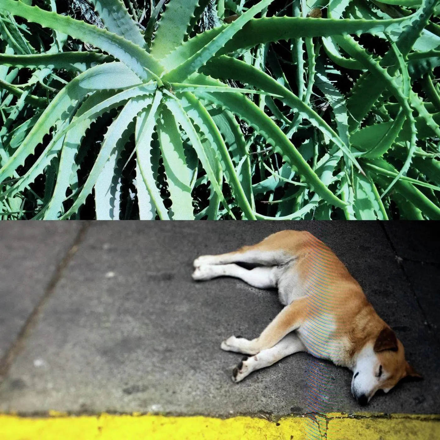 Steve Bates All The Things That Happen Vinyl Record