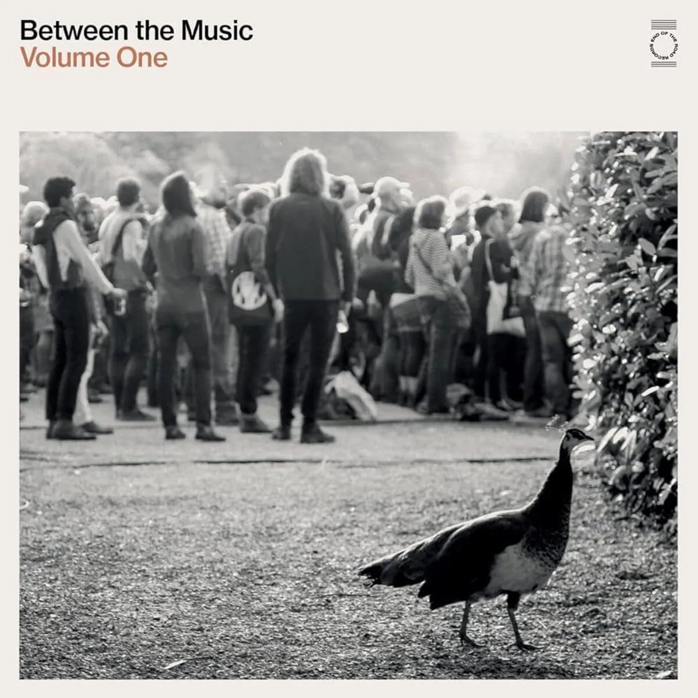 END OF THE ROAD PRESENTS: BETWEEN THE MUSIC / VAR Vinyl Record