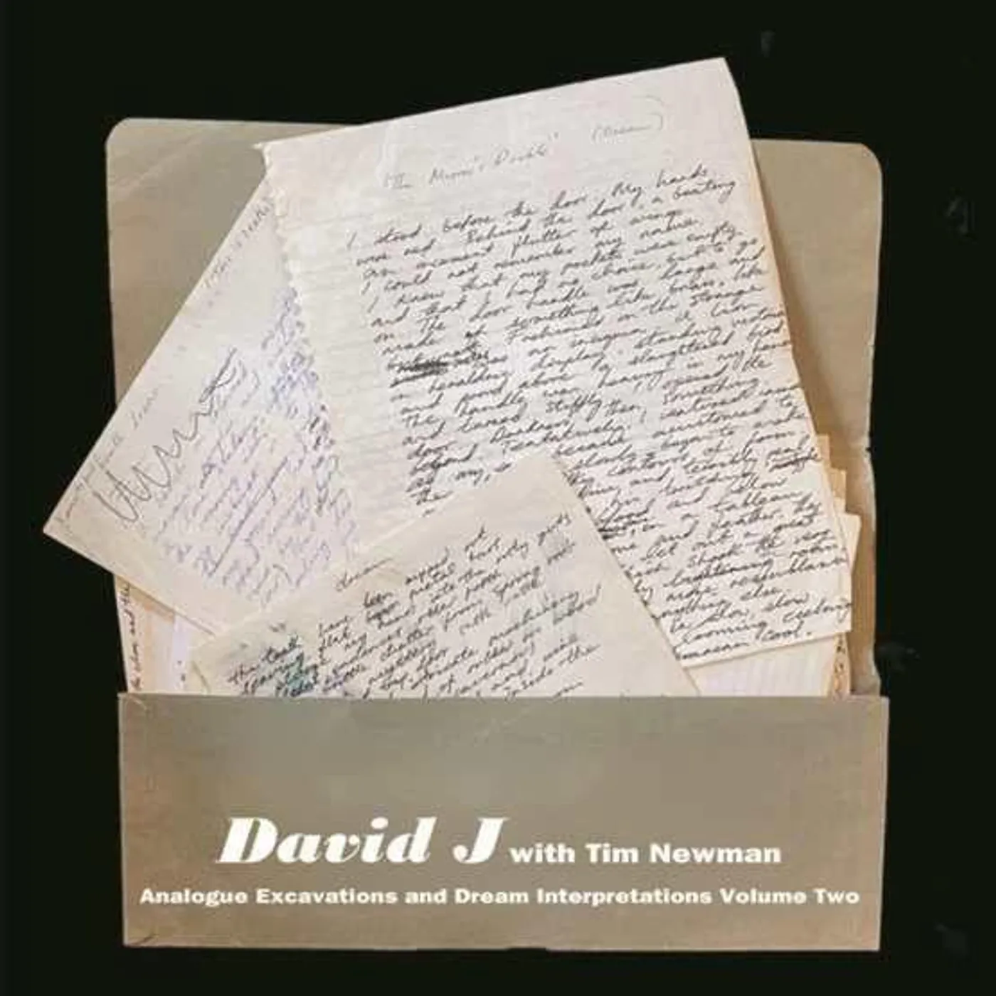 David J / Tim Newman Analogue Excavations & Dream Interpretations Vol 2 Vinyl Record 