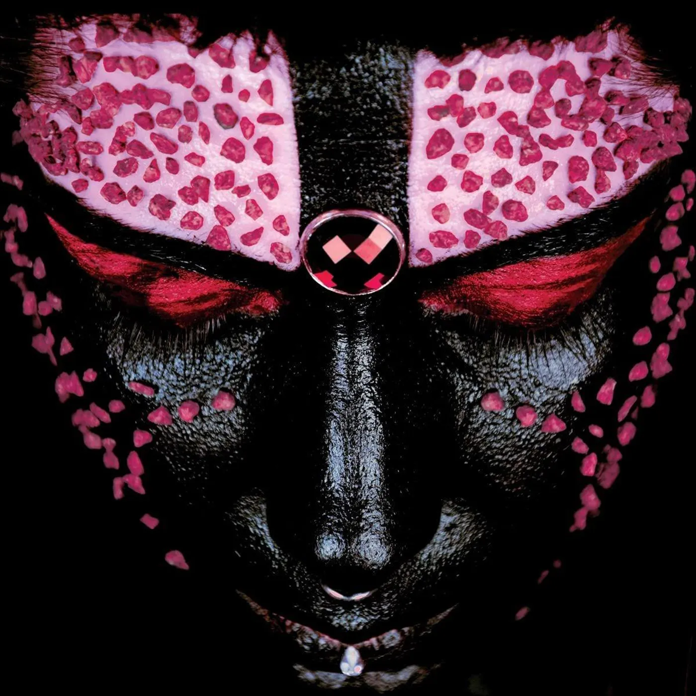 Dalila Kayros ANIMAMI Vinyl Record