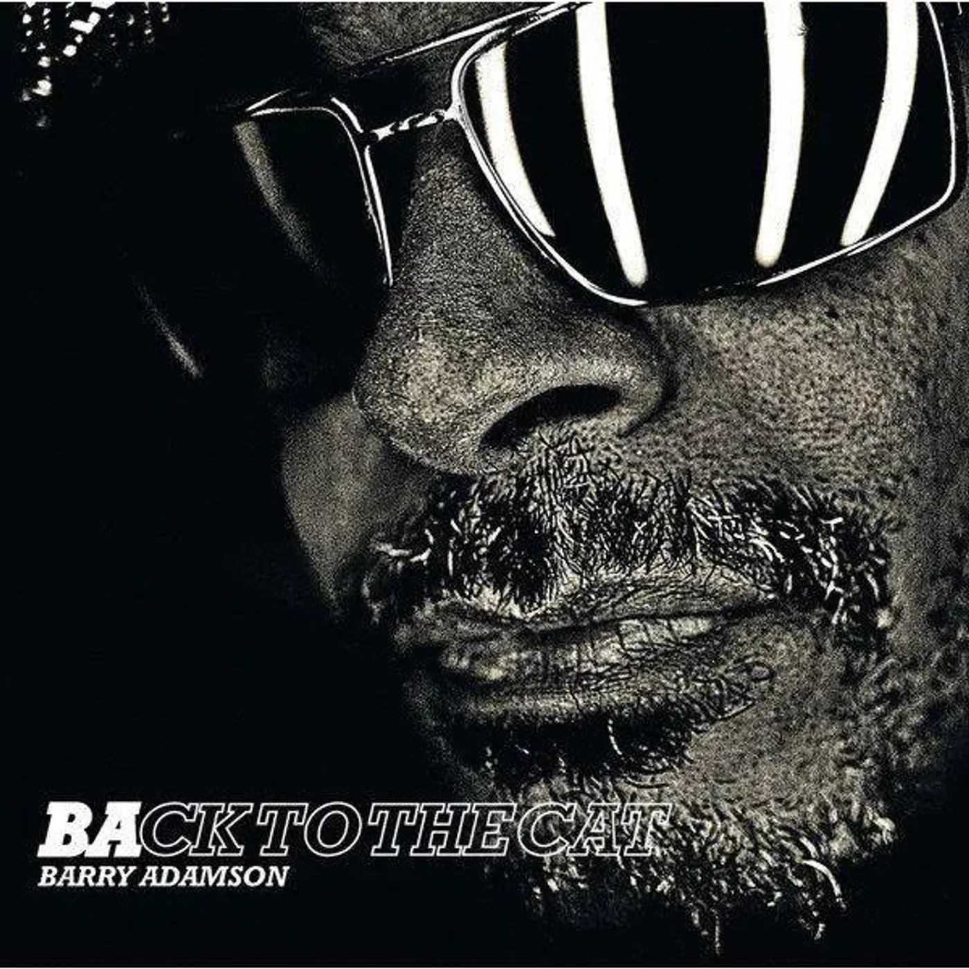 Barry Adamson Back To The Cat vinyl record