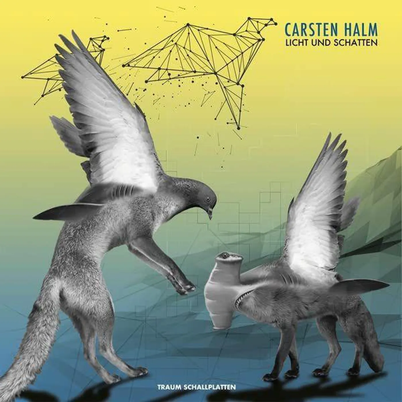 Carsten Halm Licht Und Schatten Vinyl Record