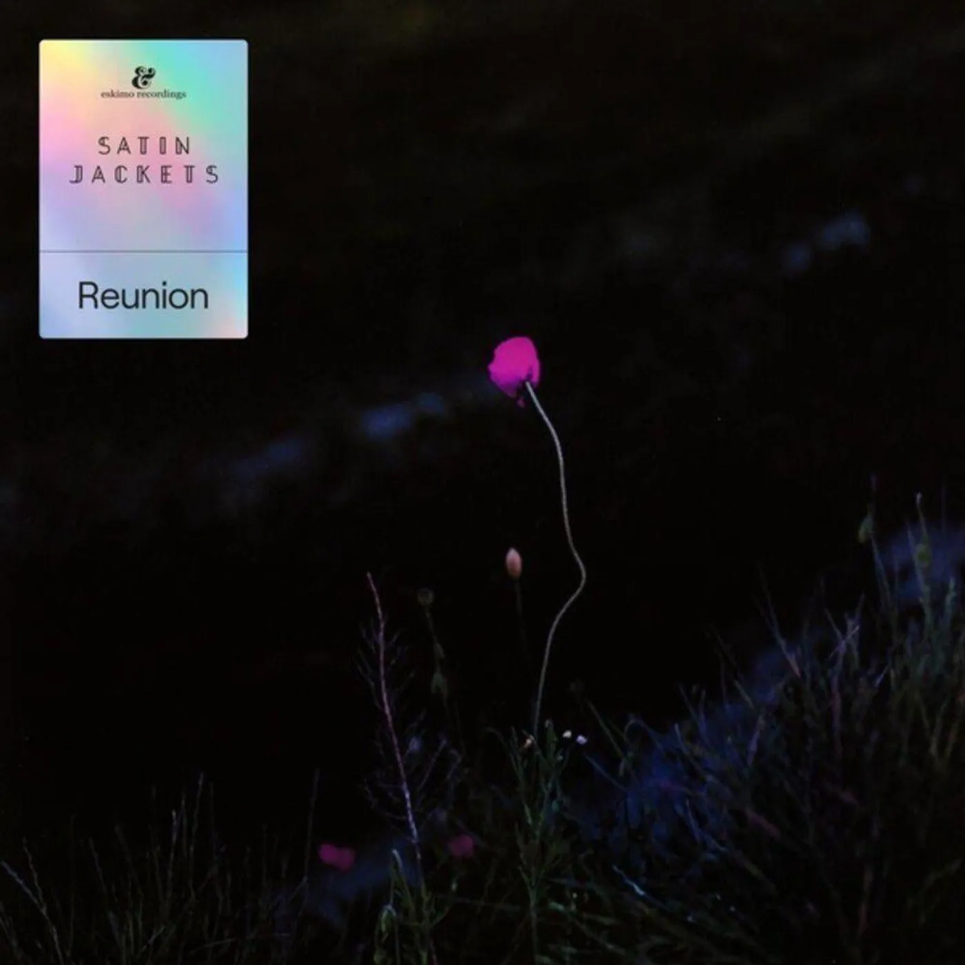 Satin Jackets Reunion Vinyl Record