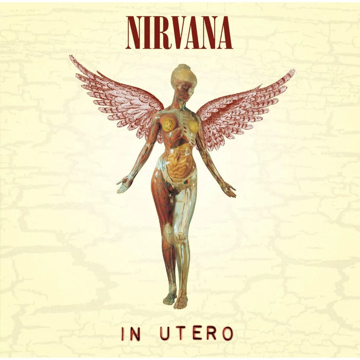 Nirvana In Utero Vinyl Record