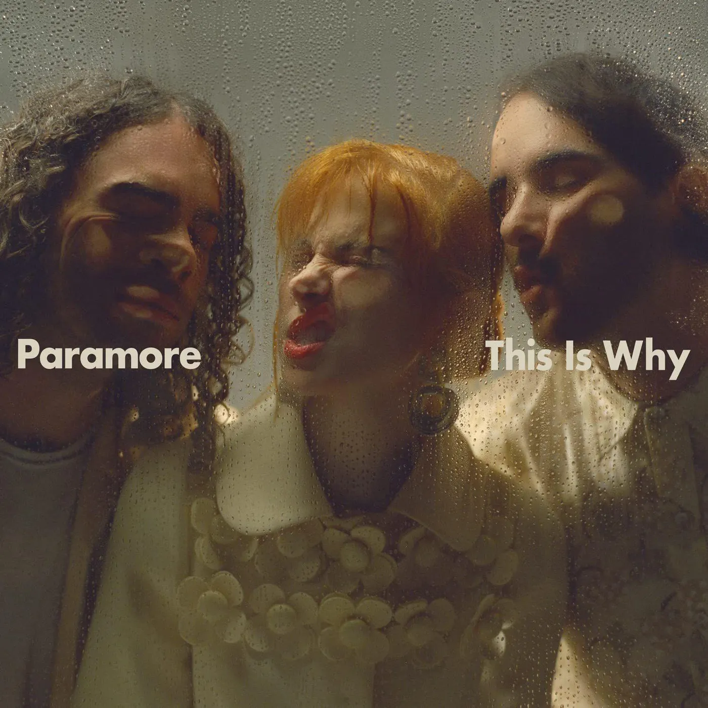 Paramore This Is Why Vinyl Record