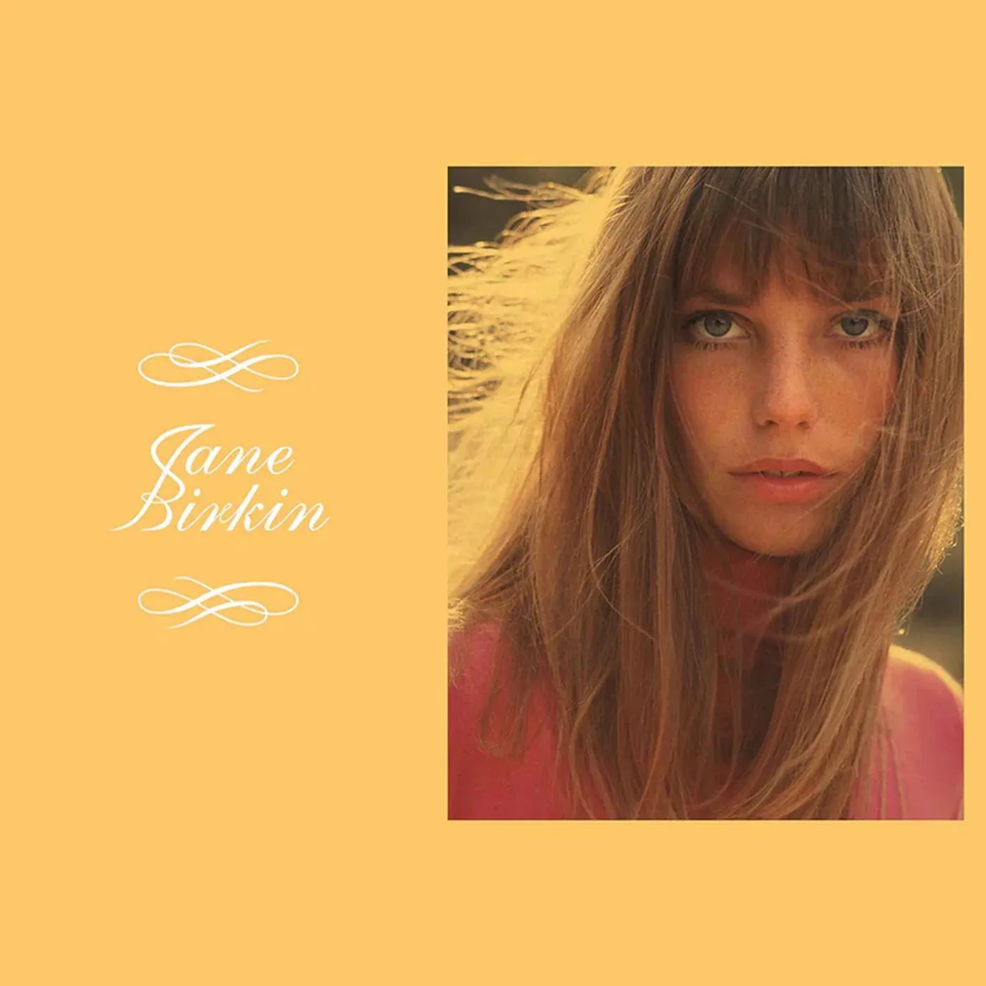 Jane Birkin 1969-2022 (18 CD / 1 DVD) Boxset