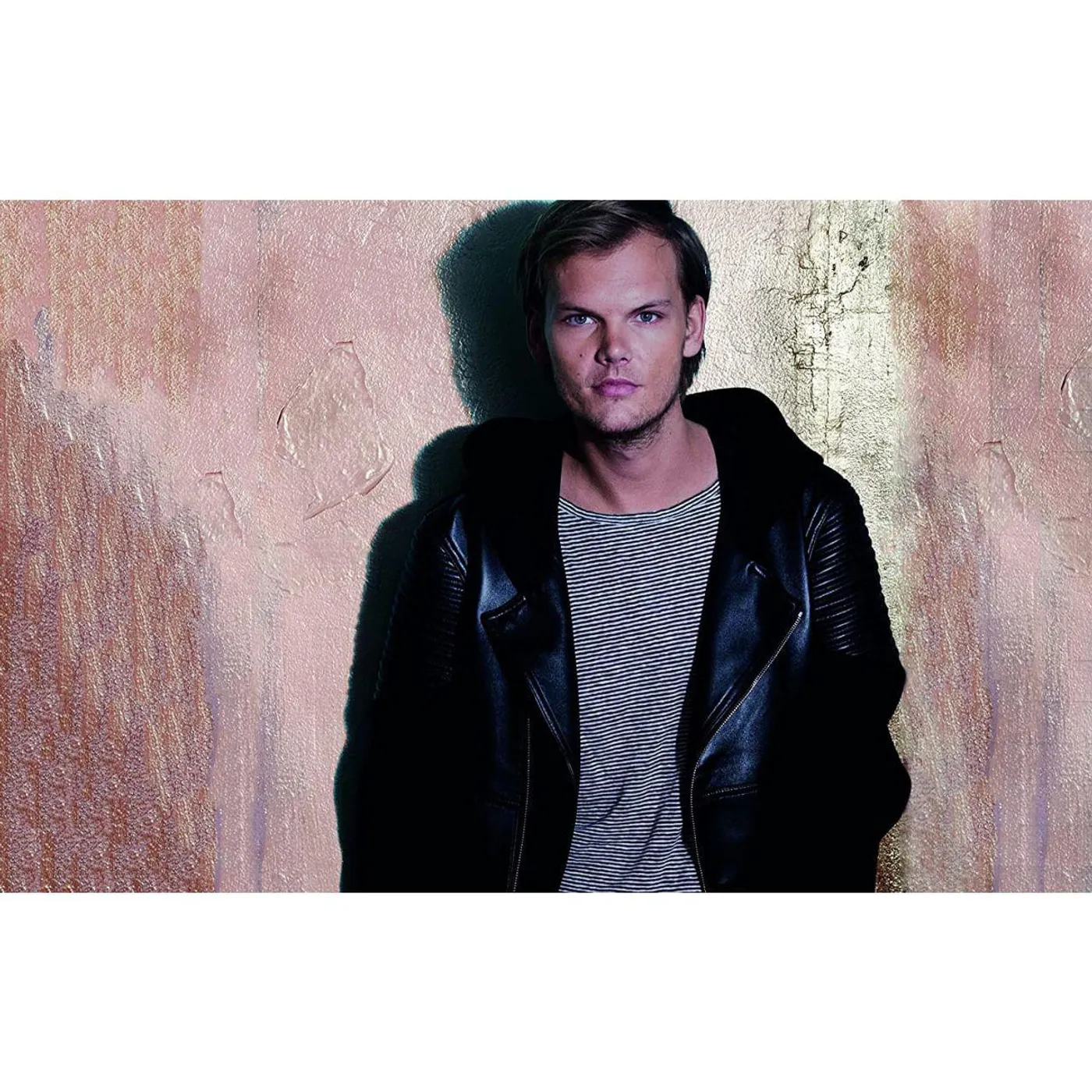 Avicii Stories (2LP) Vinyl Record