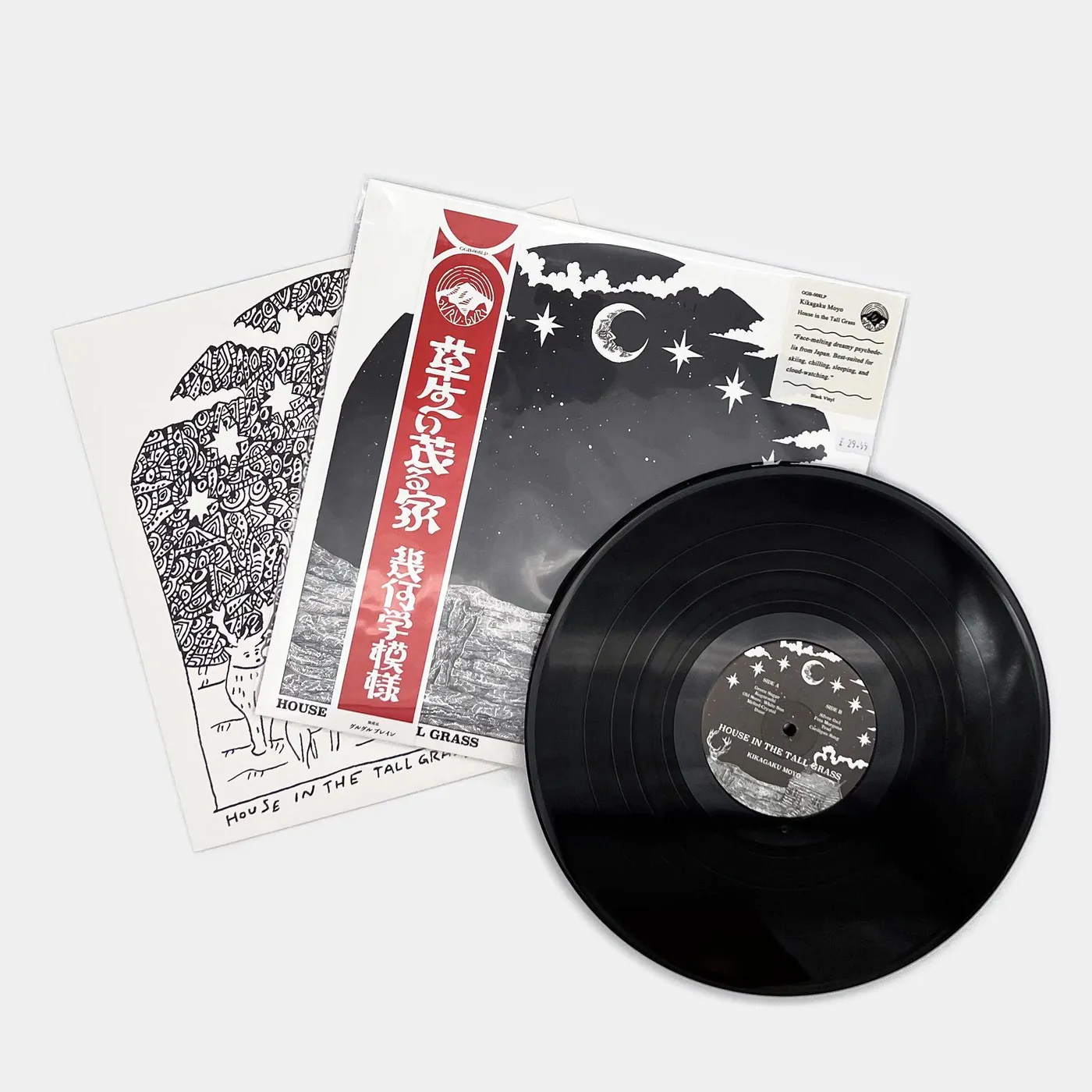 Kikagaku Moyo House in the Tall Grass Vinyl Record