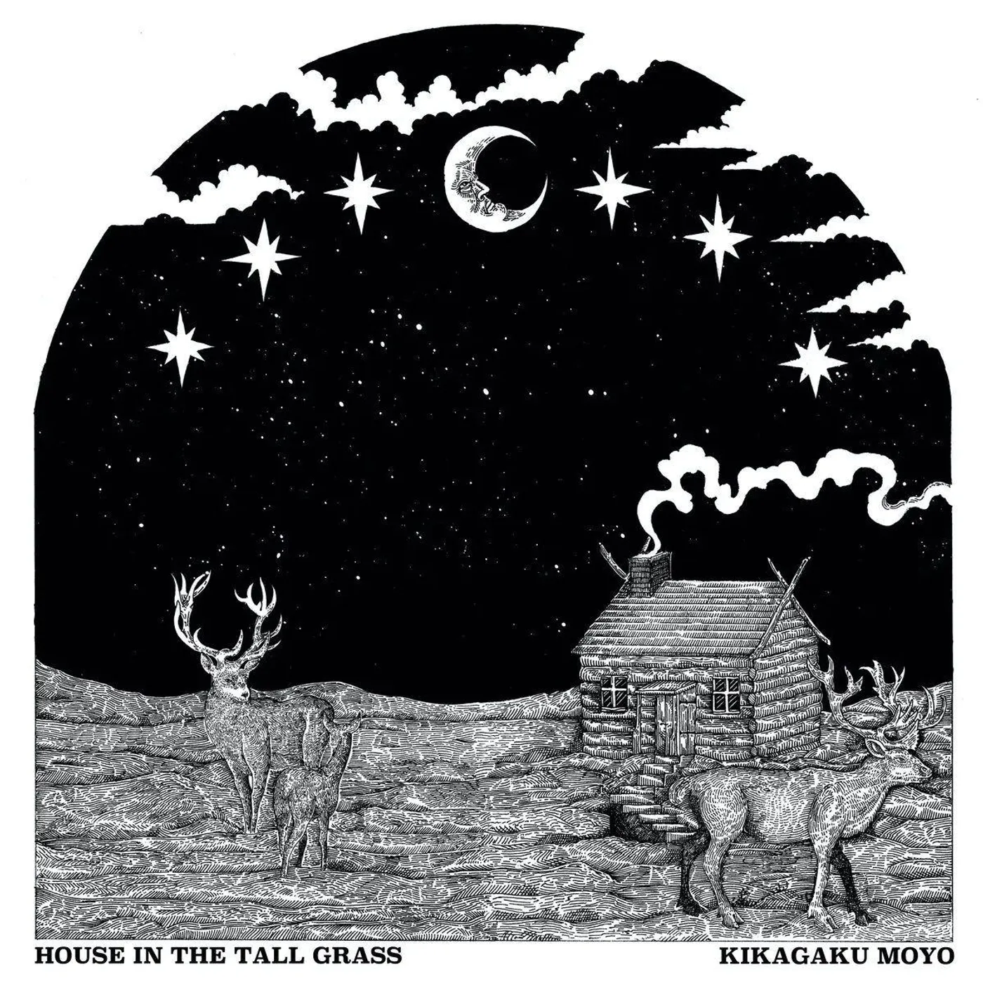 Kikagaku Moyo House in the Tall Grass Vinyl Record