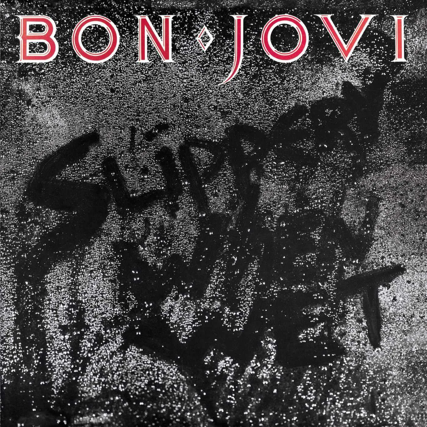 Bon Jovi Slippery When Wet (180g) Vinyl Record