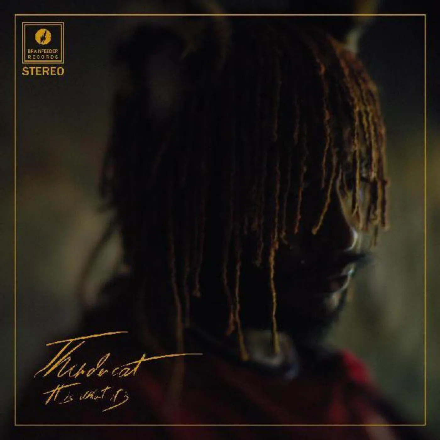 Thundercat It Is What It Is LP (Red Vinyl)