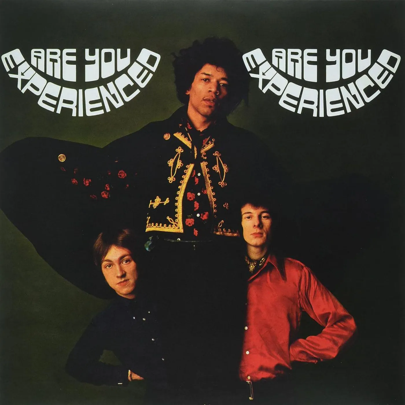 Jimi Hendrix Are You Experienced (Stereo Version/180g/2LP) Vinyl Record