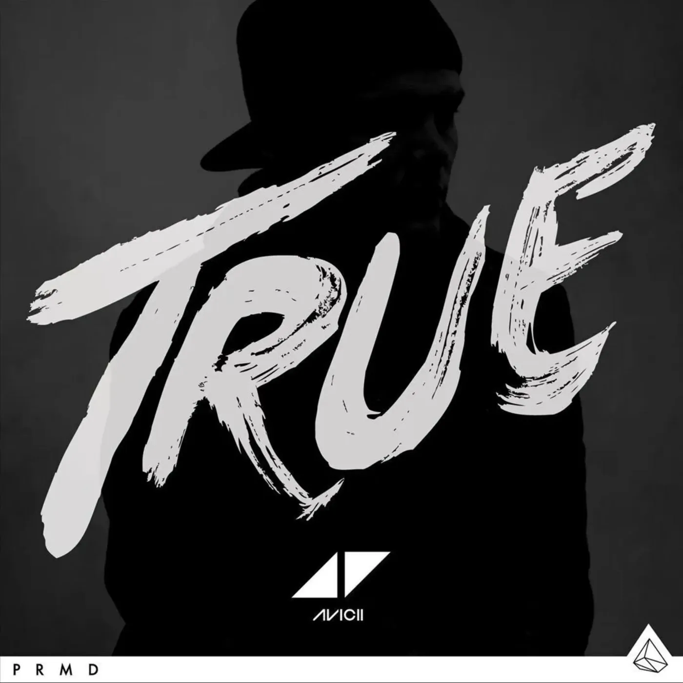 Avicii LP Vinyl - True