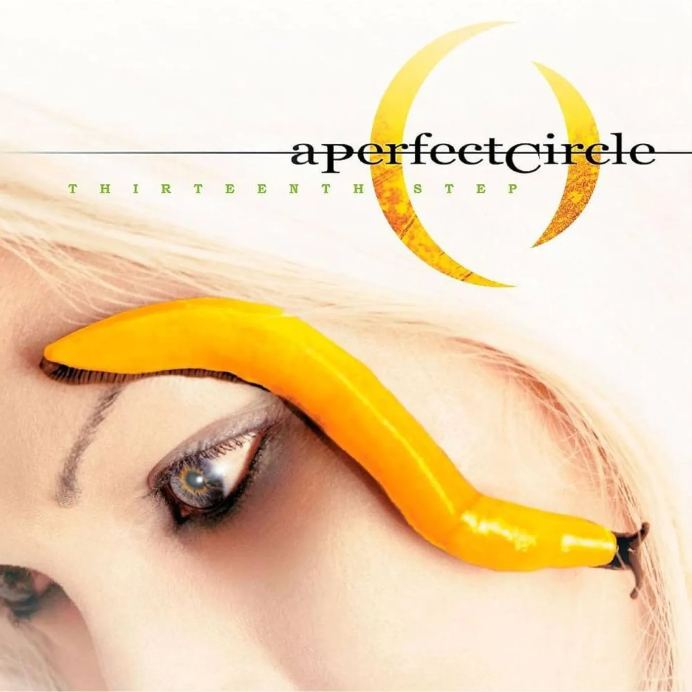 A Perfect Circle LP Vinyl - Thirteenth Step