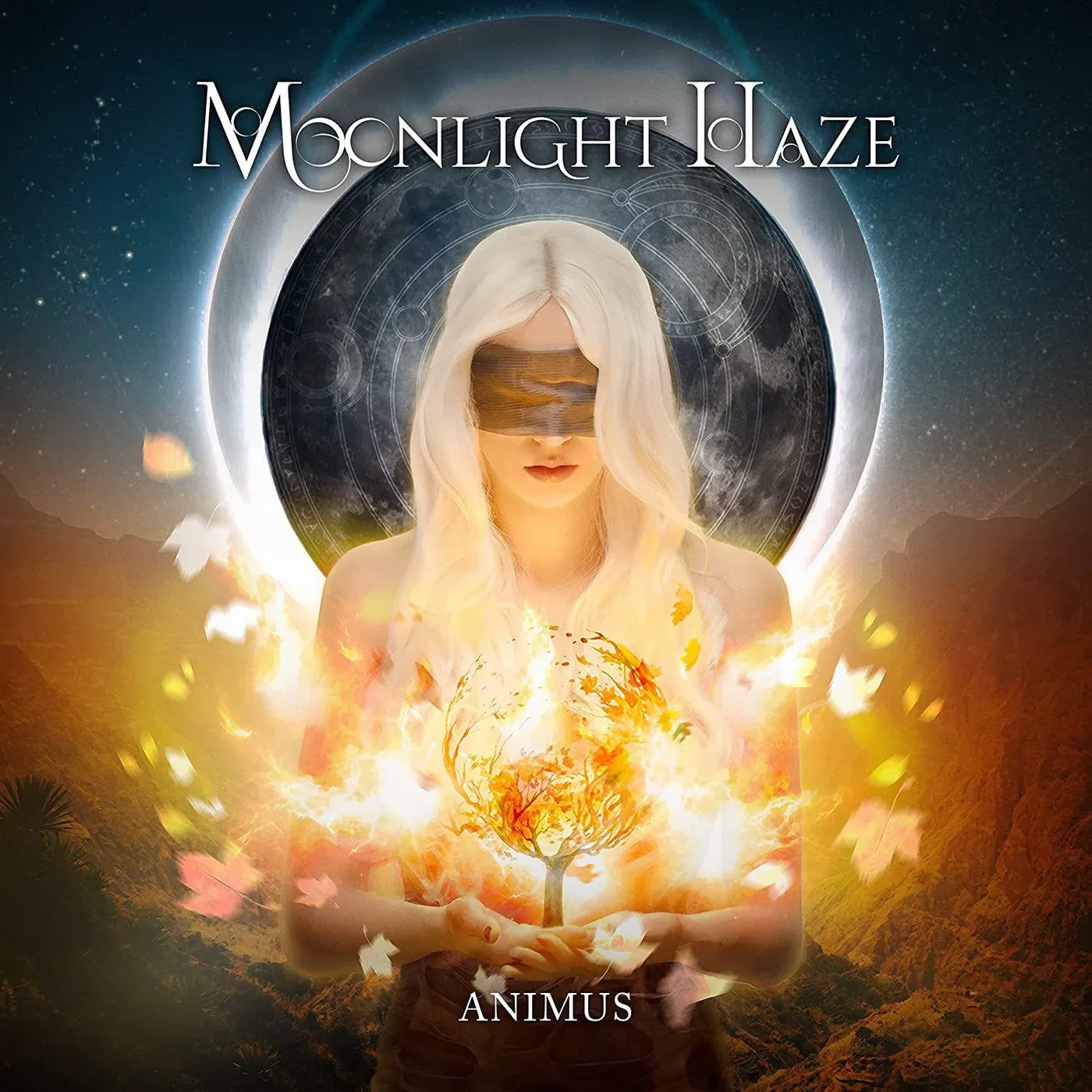 Moonlight Haze   Animus Vinyl Record