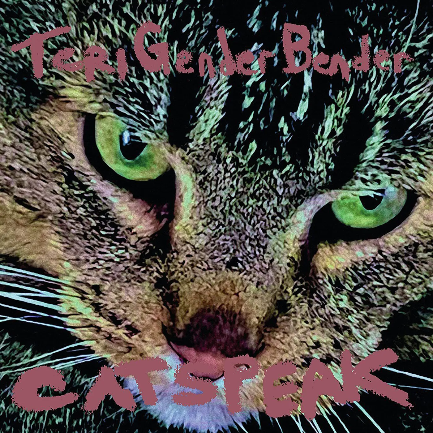 Teri Gender Bender Catspeak Vinyl Record