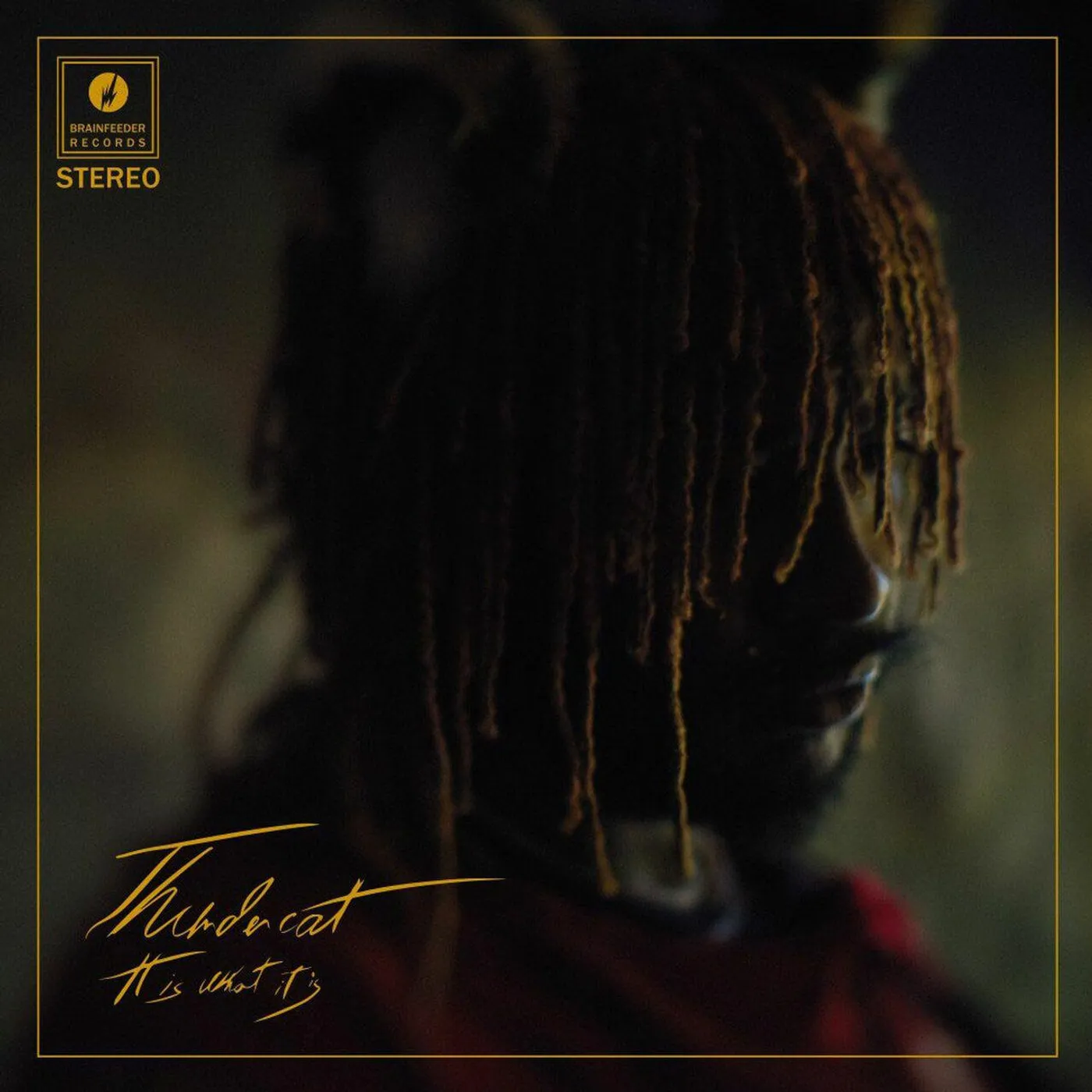 Thundercat It Is What It Is (Red Vinyl Record)