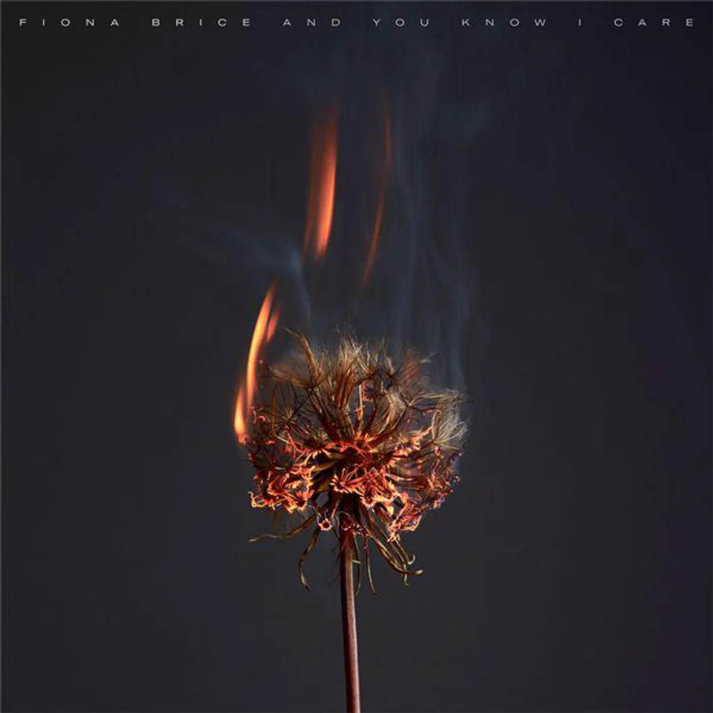 Fiona Brice And You Know I Care vinyl record